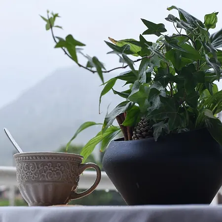 Vasilios Marinos Affittacamere