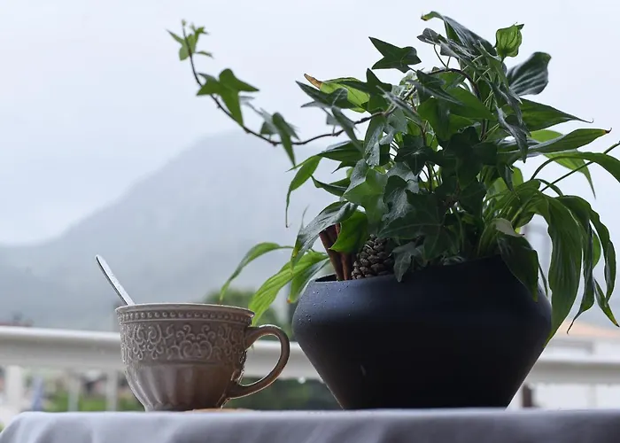 Vasilios Marinos Vendégház