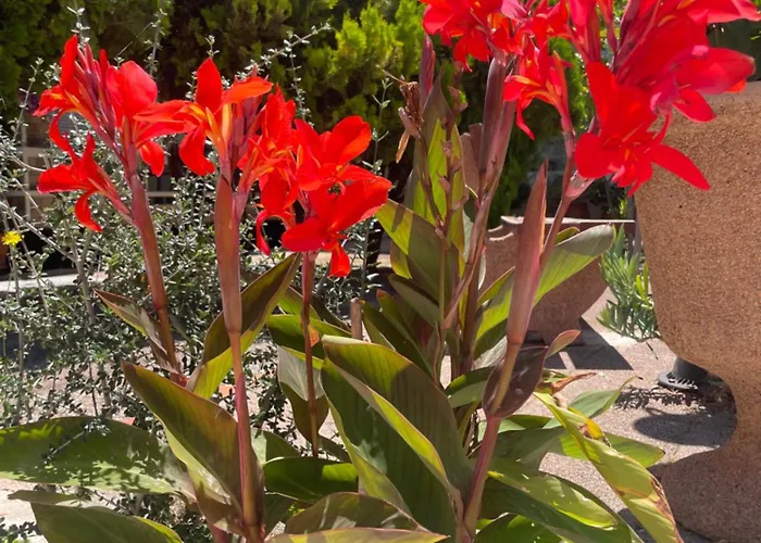 Πανσιόν Vasilios Marinos