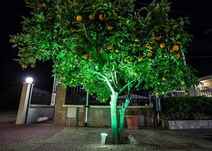 Vasilios Marinos Corinth